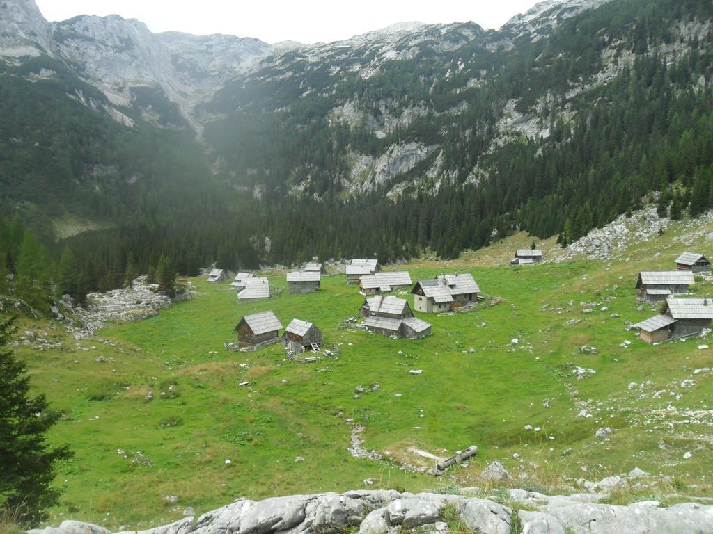 Farmhouse Pri Miklavu 博希尼 外观 照片