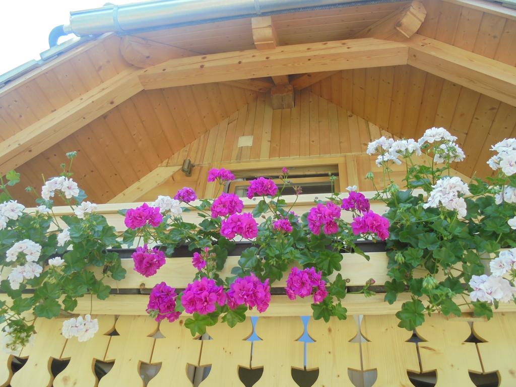 Farmhouse Pri Miklavu 博希尼 外观 照片