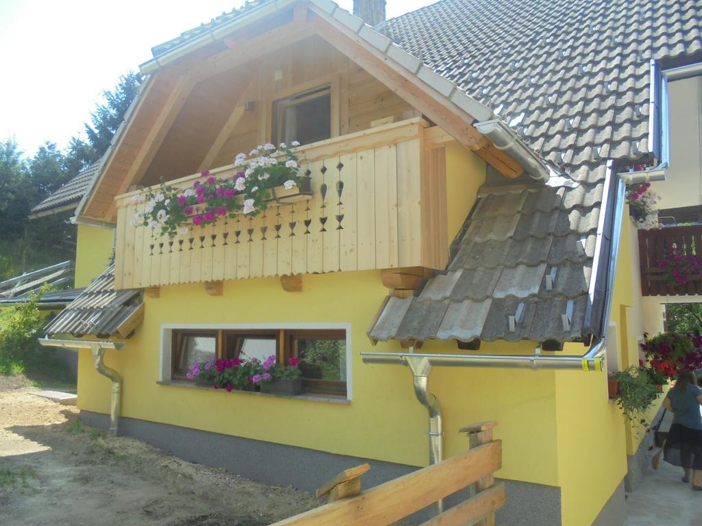 Farmhouse Pri Miklavu 博希尼 外观 照片