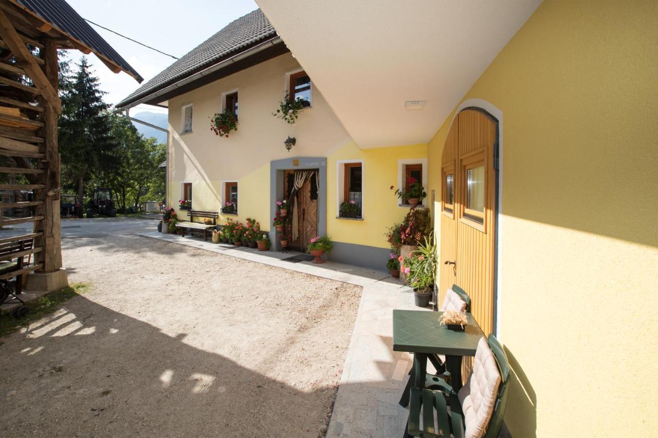 Farmhouse Pri Miklavu 博希尼 外观 照片