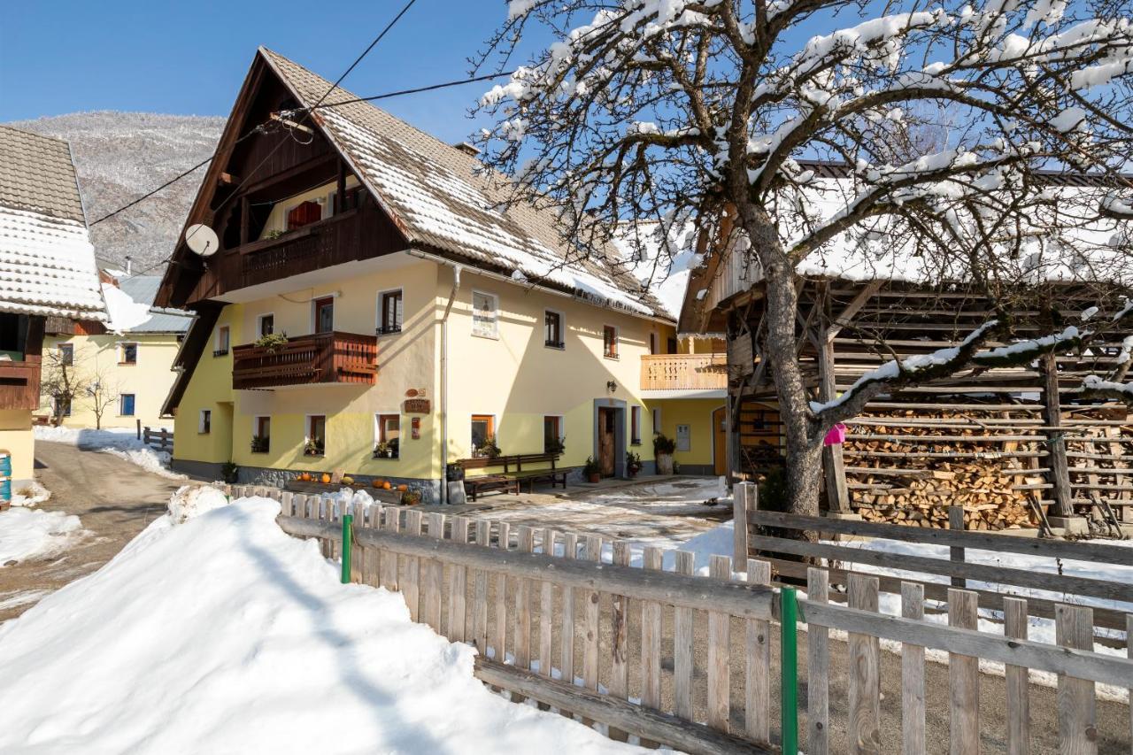 Farmhouse Pri Miklavu 博希尼 外观 照片
